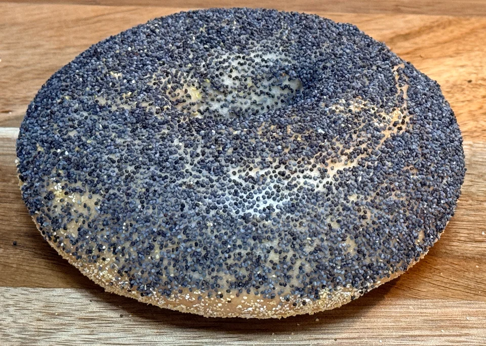 Poppy Seed Bagel